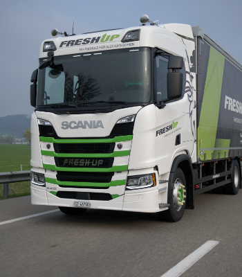 Driving lessons cat. C